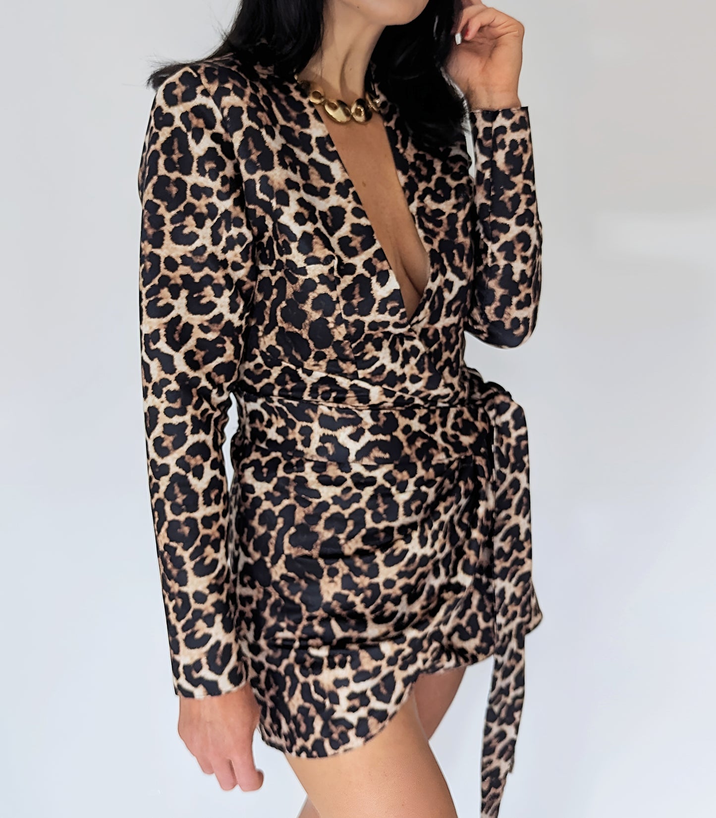 Wild & Chic Zara Leopard Dress